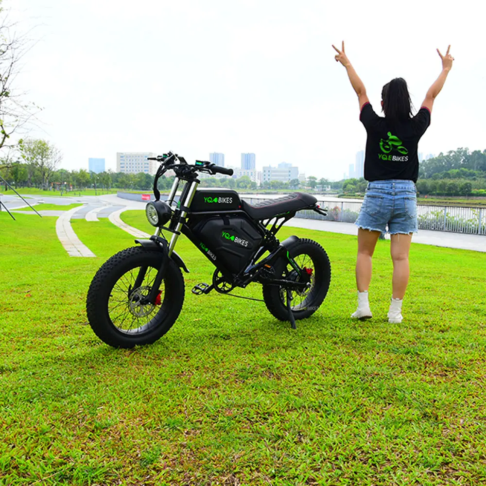 Customization New Design Frame 1000w 48v 20ah Electric Bicycle 7 Speed