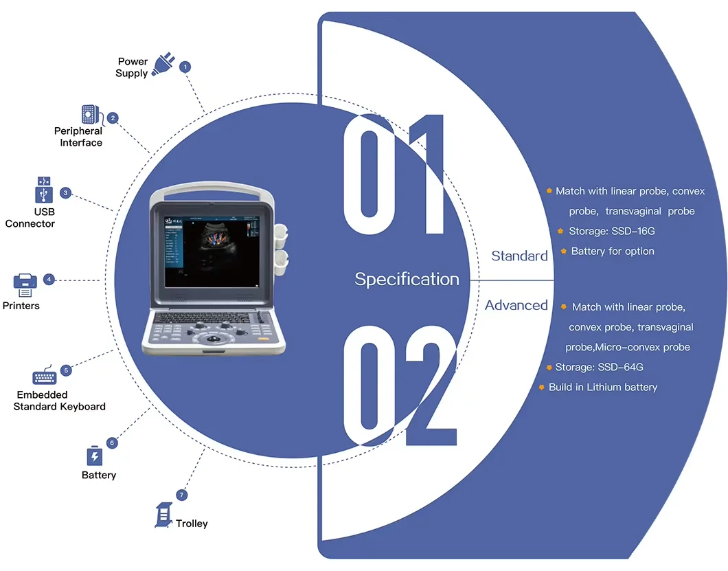 Portable PC Platform Color Full Digital Ultra Sound Scan Portable Laptop Ultrasound Machine details