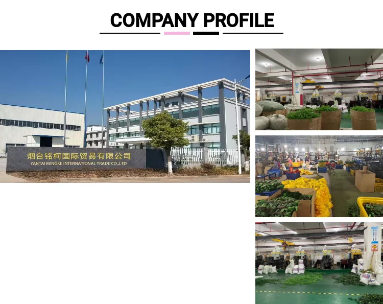 Manufactures artifical christmas trees