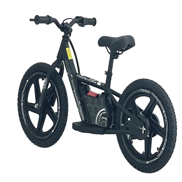 iron 16 electric bike