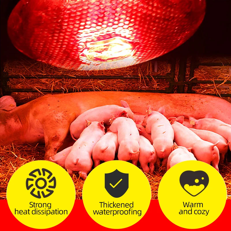 White Color Thickened Piglet Insulation Heat Lamp Waterproof Explosion