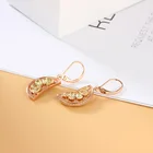 Charm Drop Dangle Earrings Hook Earring CZ Women Charm Bridal Engagement Wedding Jewelry Gift