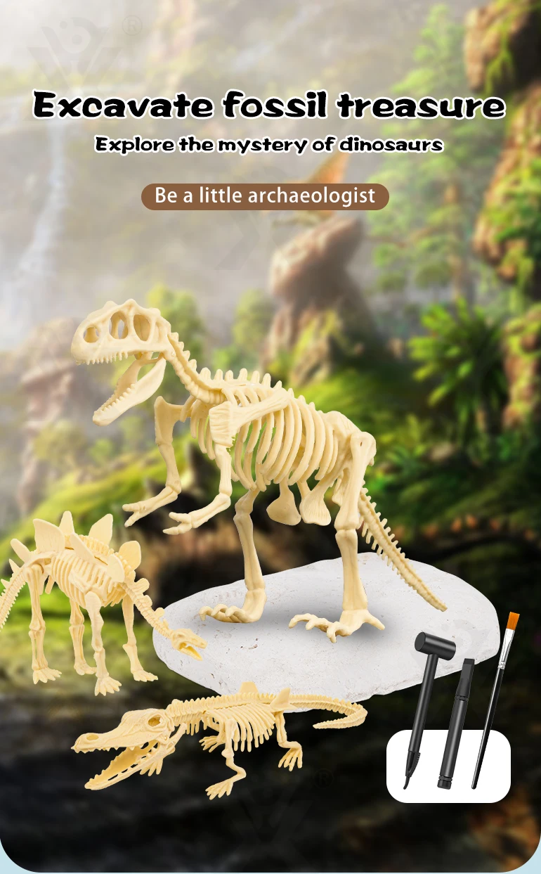 Chengji archaeology kit toy of dinosaur fossil dig kits archaeological dino excavation kit educational stem toys for kids