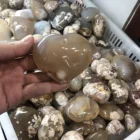 Agate Wholesale Healing Cherry Blossom Agate Heart