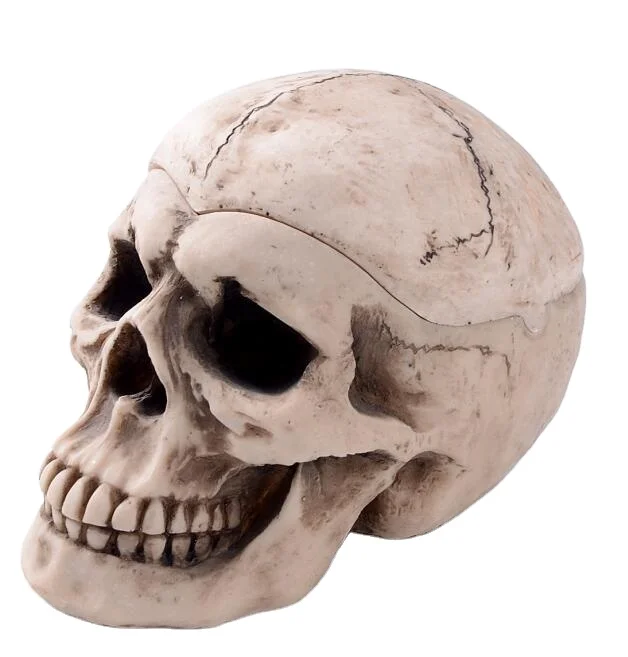 Skull Ashtray Figurine Statue Skeleton Halloween 
