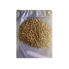 Vietnam Manufacture Products Speciality Price Of Raw Coffee Beans Vietnam Robusta Coffee 16mu Raw Coffee Bean