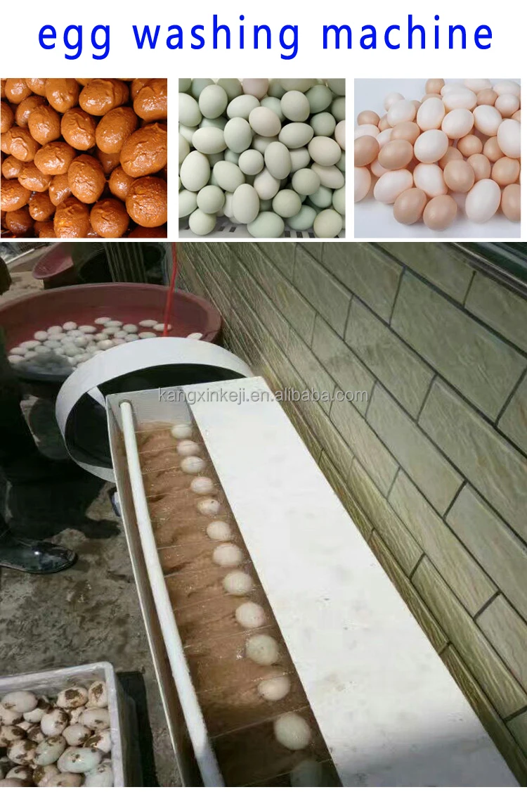 New Product Egg Cleaning Sorting Machines Egg Washer Convenient 2200pcs