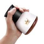 Good Quality Chinese Massage Products Physiotherapy Equipment Bianstone Massage Apparatus