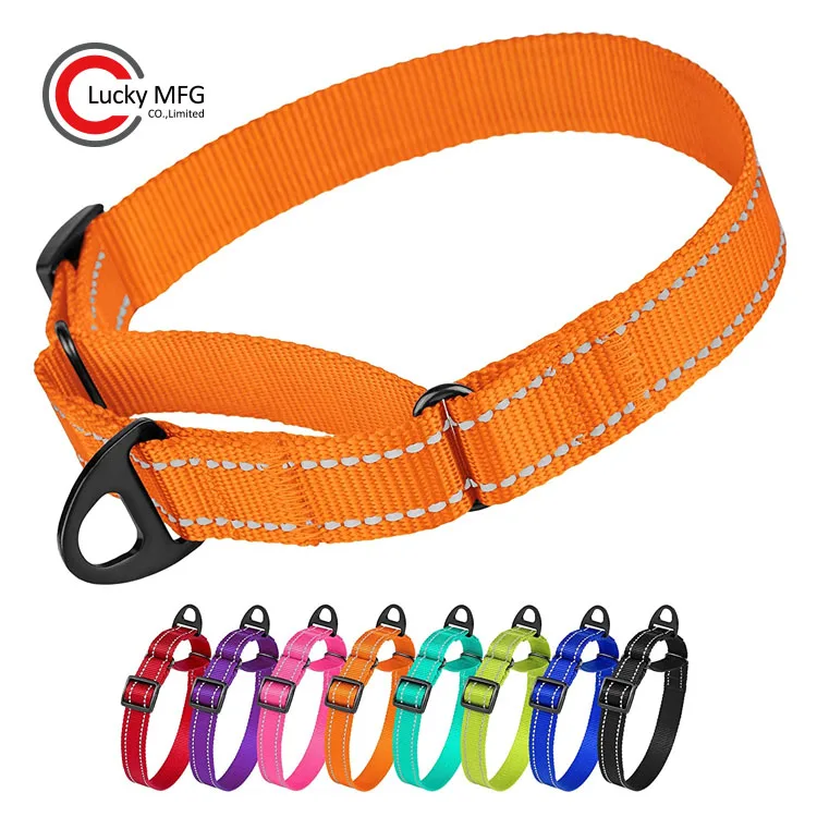 nylon martingale collar
