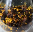 Chrysanthemum Snow Dried Chrysanthemum Chinese XueJu Hua Coreopsis Tinctoria Tea For Sale