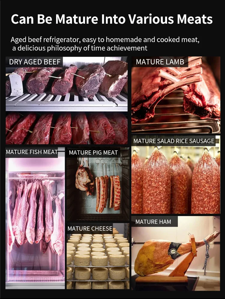 Kitchen Dry Aging Refrigerator, 220V-240V, R134a - detail 8