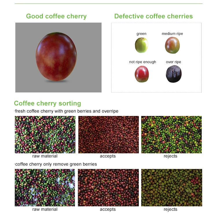 WENYAO Peanut Macadamia Pistachio Grading Machine Functional Color Sorter for Nuts Blueberry Coffee Cherry Available for Sale 3