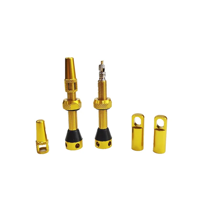 Customizable Logo 40/44/46/48/50/55/60/70/80/100mm Tubeless Presta Bicycle Valve with Aluminium Alloy Handlebar Position