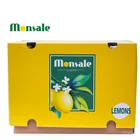 Lemon Lemon China Lemon Farm Top Quality Fresh Yellow Lemon