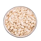 Seeds Wholesale Products Raw Organic Bulk Supply Pumpkin Seeds For Sale