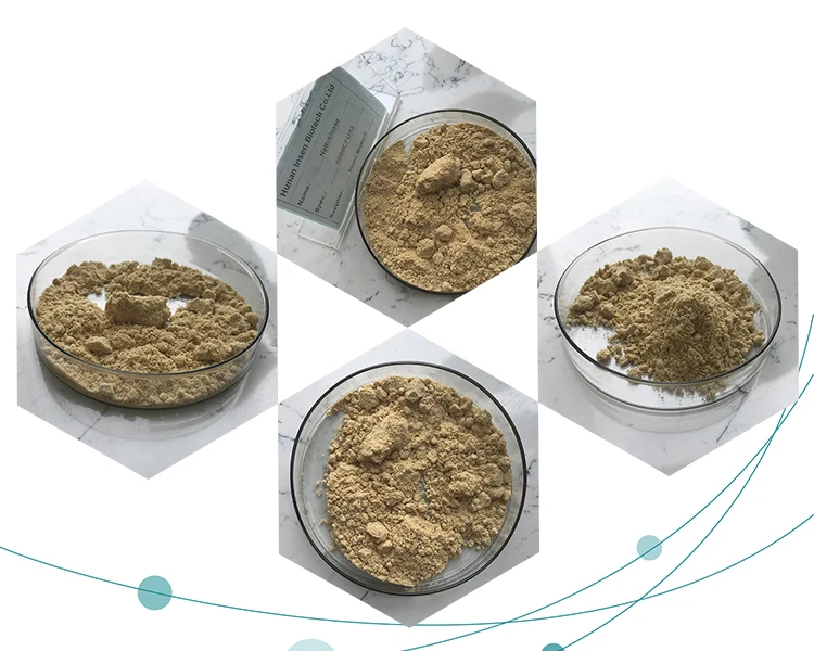 Insen Supply Most Competitive Price Nattokinase Extract