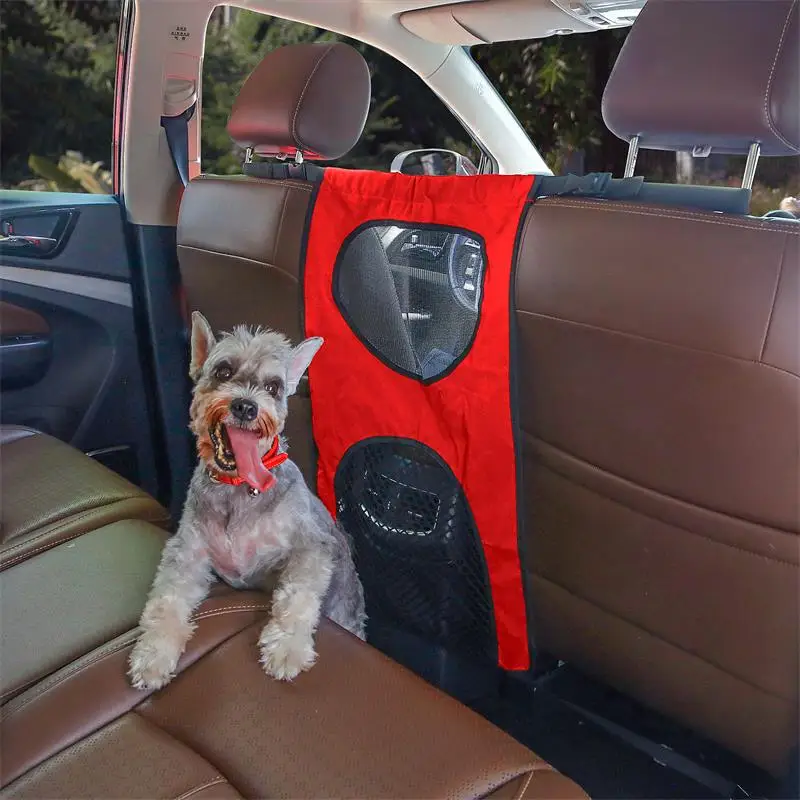 Can Dogs Travel In The Front Of A Car