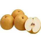 Pear Pear 2021 New Crop Of Fresh China Asian Pear For Sale With Ya Pear