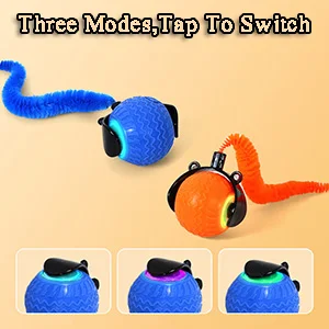 cat toy