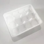 Egg Packaging Best Quality Design Disposable Plastic Egg Packaging Tray