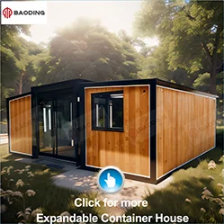 Expandable Container house