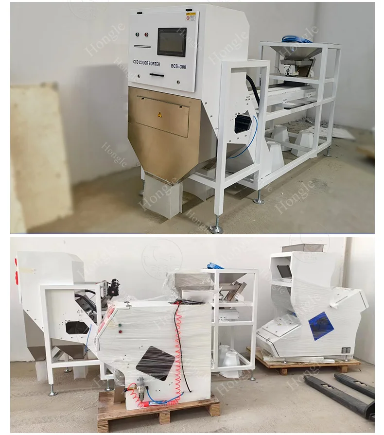 Cardamom Colour Sorting Machine Belt Olive Chilies Optical Bean Color Sorter Machine for Minerals factory