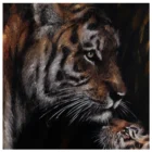 Family Jinyi Warm And Sweet Tiger Family Kissing Each Other High Quality Print And Handmade Oil Painting