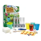 PLANT GROWTH Garden Start Craft Kit STEM Science Activity Growing Kit For 6+ Kids