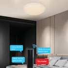 House New Smd Wifi Remote Control Home Indoor Decorative Smart 48W Led Ceiling Light For House