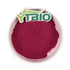 Blueberry Pure Natural Blueberry Fruit Powder Blueberry Extract Powder