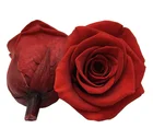 Rose 2021 Yunnan Hot Wholesale Natural Flower Preserved Rose Head For Wedding Decoration