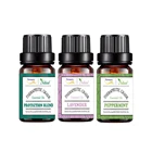 Essential Hot Selling Wholesale Private Label Natural Organic Charms Difuser Luxury Aromatherapy Essential Oil Gift Set