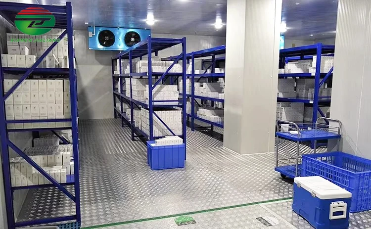 Thawing Equipment, 400 V, > 1000W - detail 10