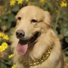 Hot Sales Fashionable Lightweight Adjustable Cuban Link Pet Dog Cat Chain Collar Necklace