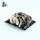 Packing Tray Plastic Fruit Box Plastic Black Rectangular Packing Fruit And Vegetable Tray Plastic Box STL-200-160