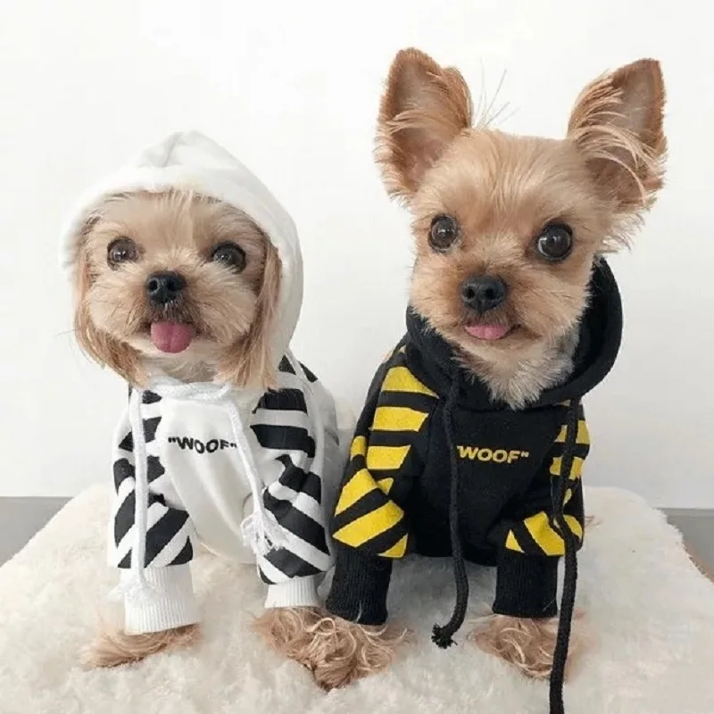 Source New Solid Sport Pet Apparel Accessories Old Pikachu Dog Costume Cat Socks Sustainable Xxl on m.alibaba.com