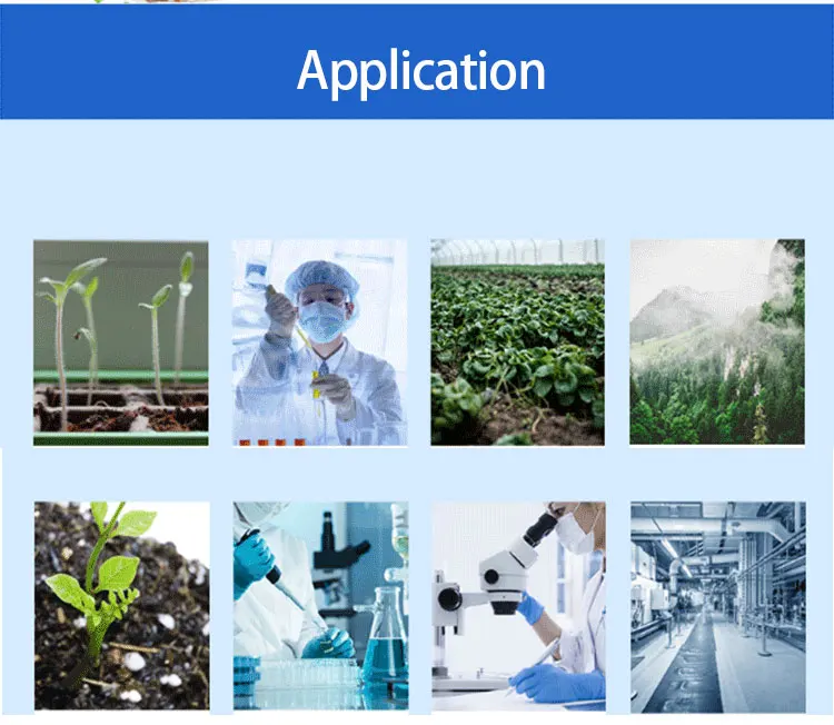 Automatic Germination/Barley Wheat Seeds Germinating Machine/Fodder Sprouting Machine Pasen Machine for Seeds Germ factory