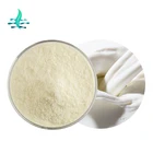 High Quality Whey Protein Isolate 90%-98% Powder