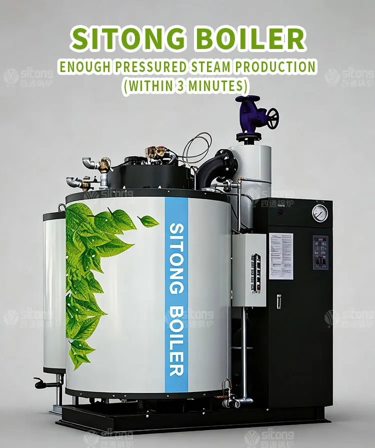 Steam Boiler, Natural Circulation - detail 2