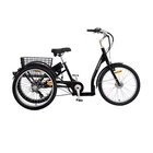 Tricycle For Adults Good Price 24 Inch Steel Motorized Tricycle For Adult With Basket