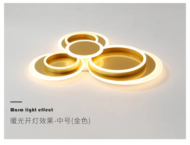 Modern Decoration Warm White Iron Acrylic Home Bedroom Living Room Simple Led Ceiling Light