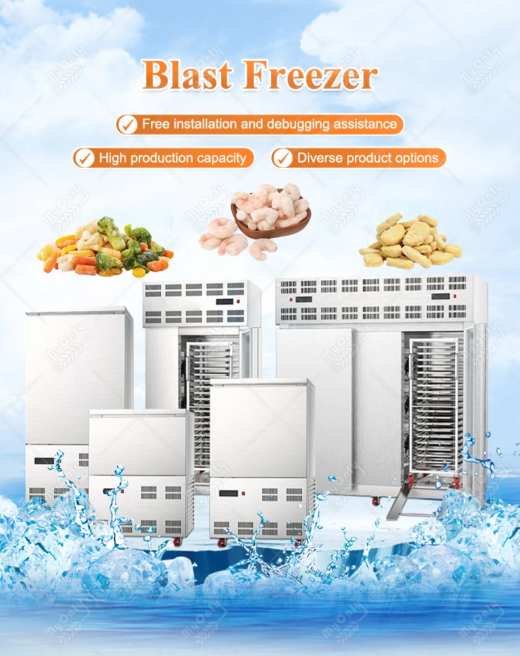 Blast Freezer, 220 V, 5KW - detail 4