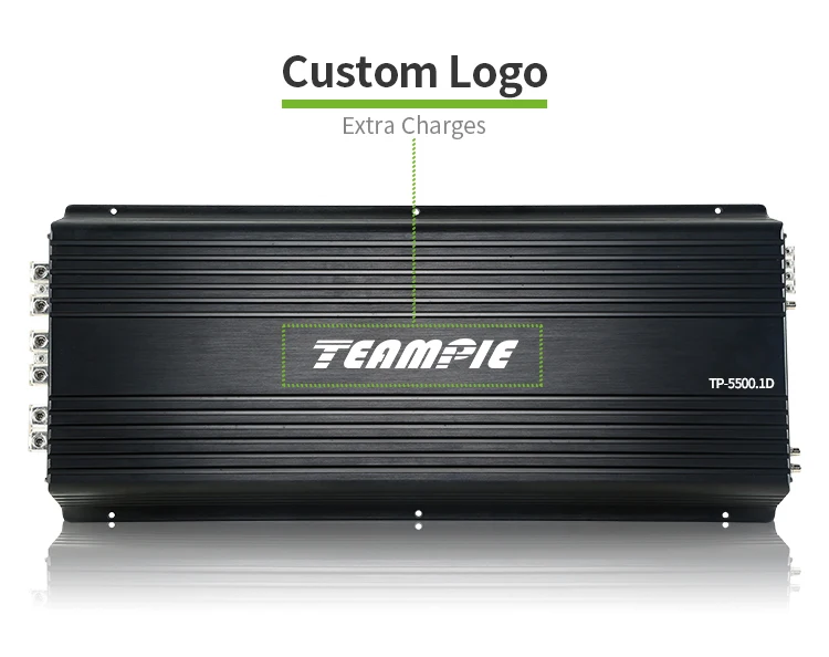 Car Subwoofer Amplifier Tp-5500.1 