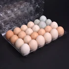 Egg Tray Trays Length Egg 267 Mm Storage Turkey Clear Egg Tray Plastic Egg Trays For Sale