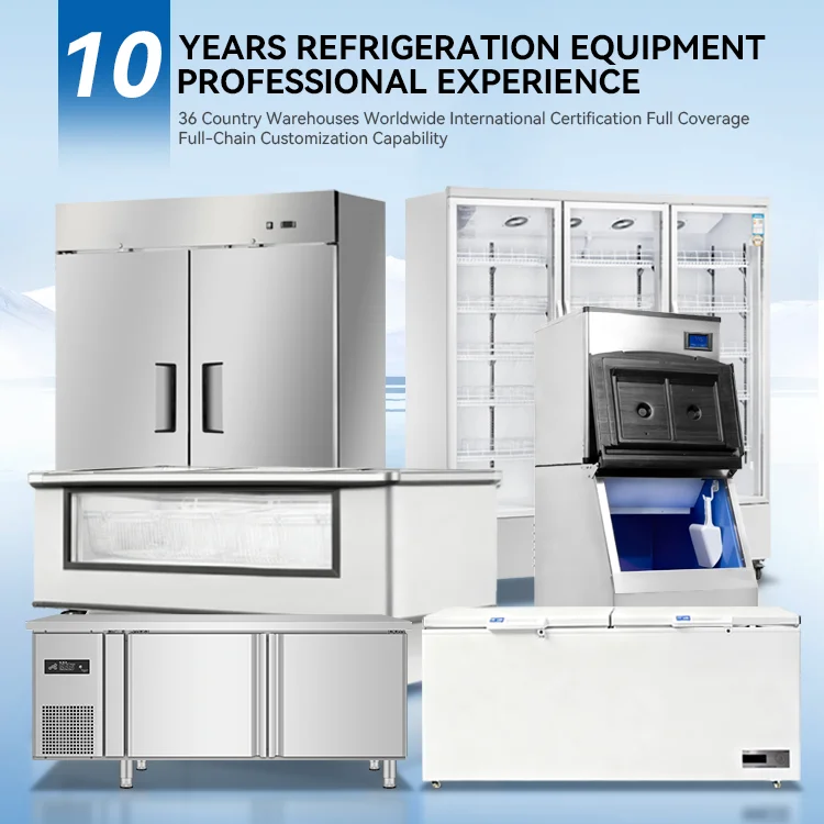 Saving Stainless Steel Freezer, 220 V - detail 2
