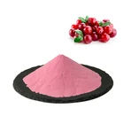Natural Free Sample Natural Cranberry Powder With Best Price