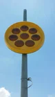 Sunflower Light China Sunflower Roadway Traffic Light