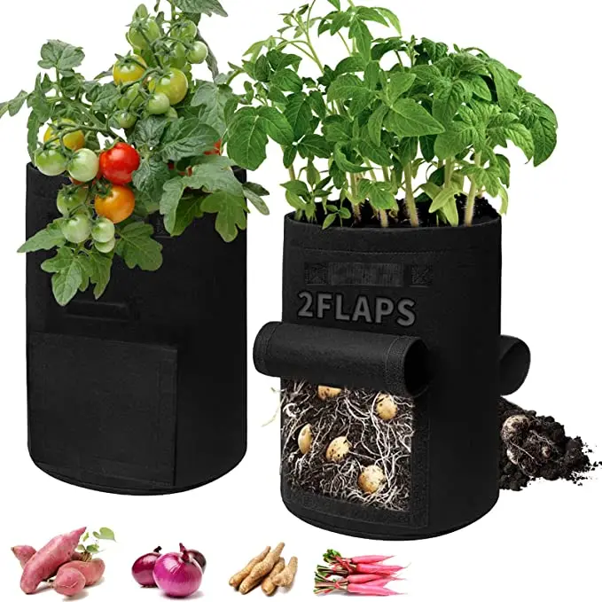 Tomato Growbag Growhouse with Heavy Duty Reinforced Cover 