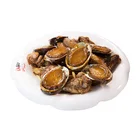 Abalone Price Abalone Good Quality Factory Directly Delicious Healthy Canned Abalone Canned Abalone New
