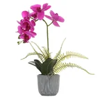 Real Touch Purple Latex Faux Phalaenopsis Bonsai Flower Arrangement For Sale
